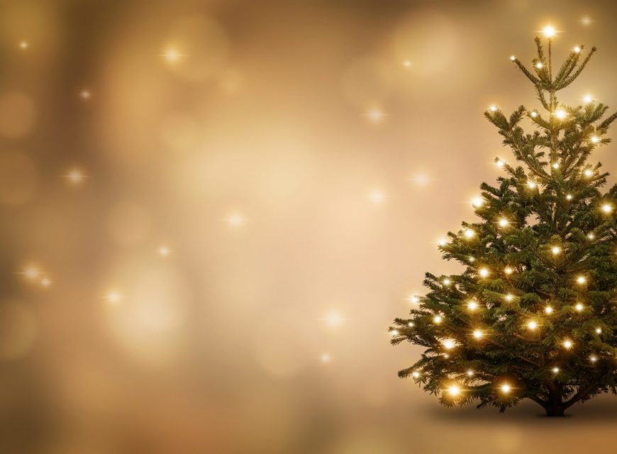 Weihnachtliche Elektrofakten: Hätten Sie’s gewusst?